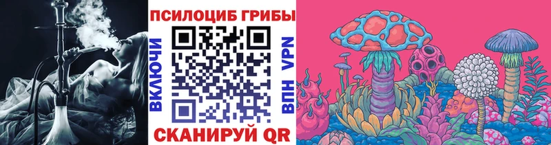 Галлюциногенные грибы Psilocybine cubensis  Цивильск 